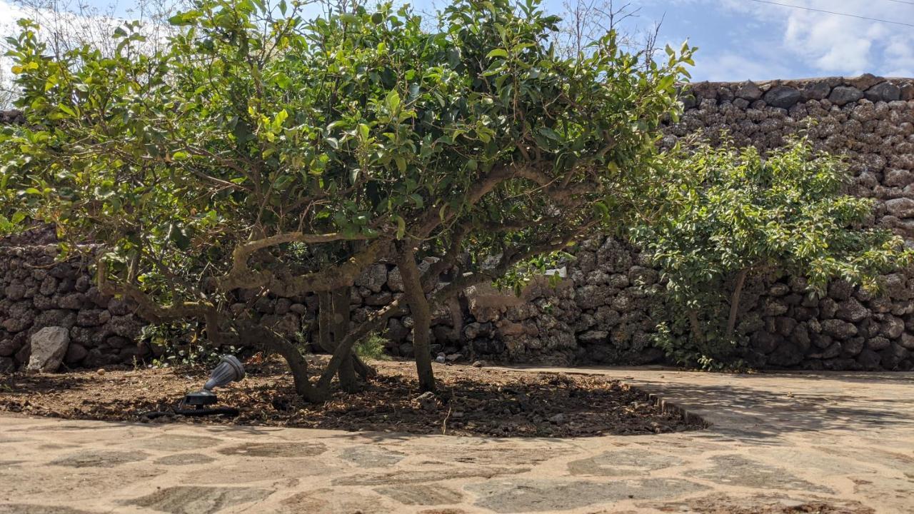 Horizon Pantelleria Acomodação com café da manhã Campobello Exterior foto